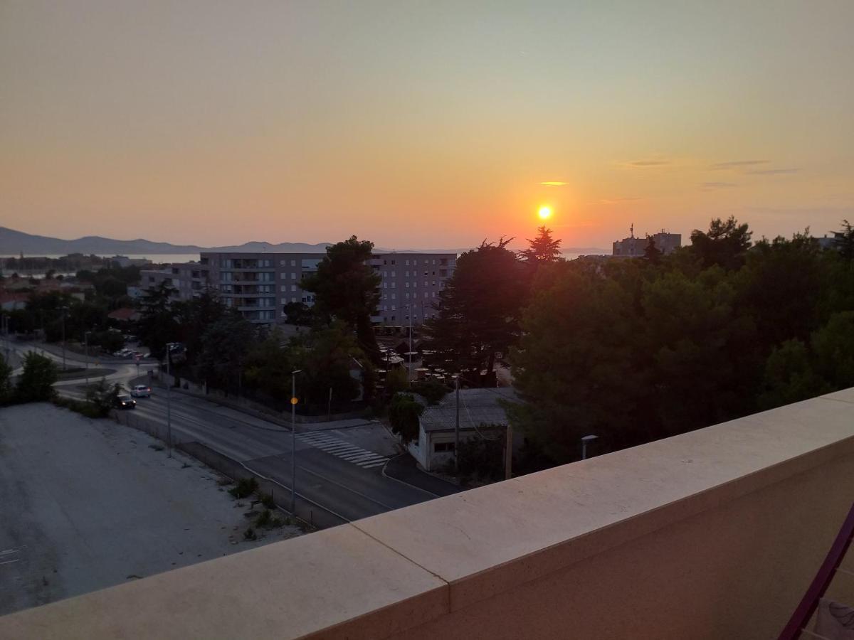 Pavo Apartma *